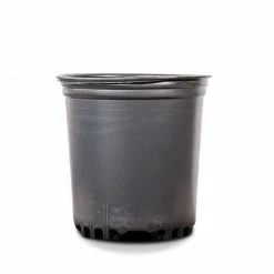 Perfect Plants 1 Gallon Plastic Plant Pots