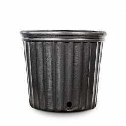 Perfect Plants 3 Gallon Plastic Plant Pots |View All