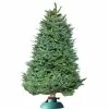 Perfect Plants Fresh Fraser Fir Christmas Tree