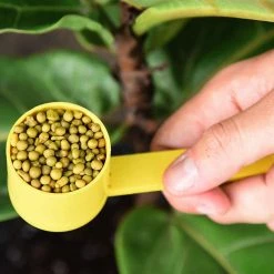 Perfect Plants Fiddle Leaf Fig Fertilizer |View All