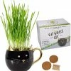 Perfect Plants Organic Cat Grass Kit |View All