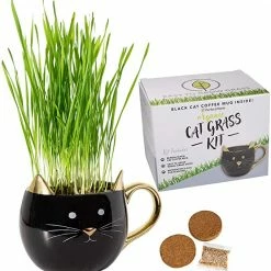 Perfect Plants Organic Cat Grass Kit |View All