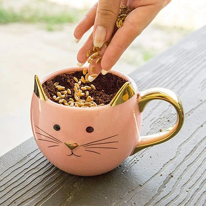 Perfect Plants Organic Cat Grass Kit |View All 4 Perfect Plants Organic Cat Grass Kit |View All