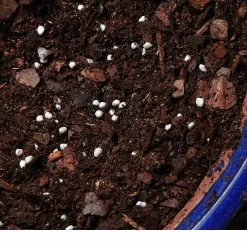 Perfect Plants Bonsai Fertilizer Pellets |View All