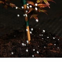 Perfect Plants Bonsai Fertilizer Pellets |View All