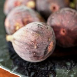 Perfect Plants All Fruit & Nut Trees Brown Turkey Fig Tree