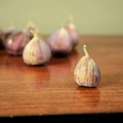 Perfect Plants All Fruit & Nut Trees Brown Turkey Fig Tree