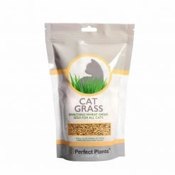 Perfect Plants |View All Cat Grass Seeds | Wheatgrass