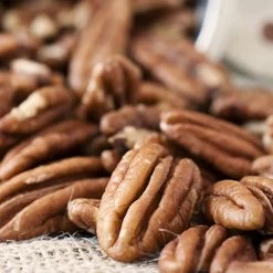 Perfect Plants Desirable Pecan Tree | Type 1 Pollinator
