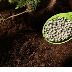 Perfect Plants Bonsai Fertilizer Pellets |View All