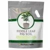 Perfect Plants Fiddle Leaf Fig Soil |View All