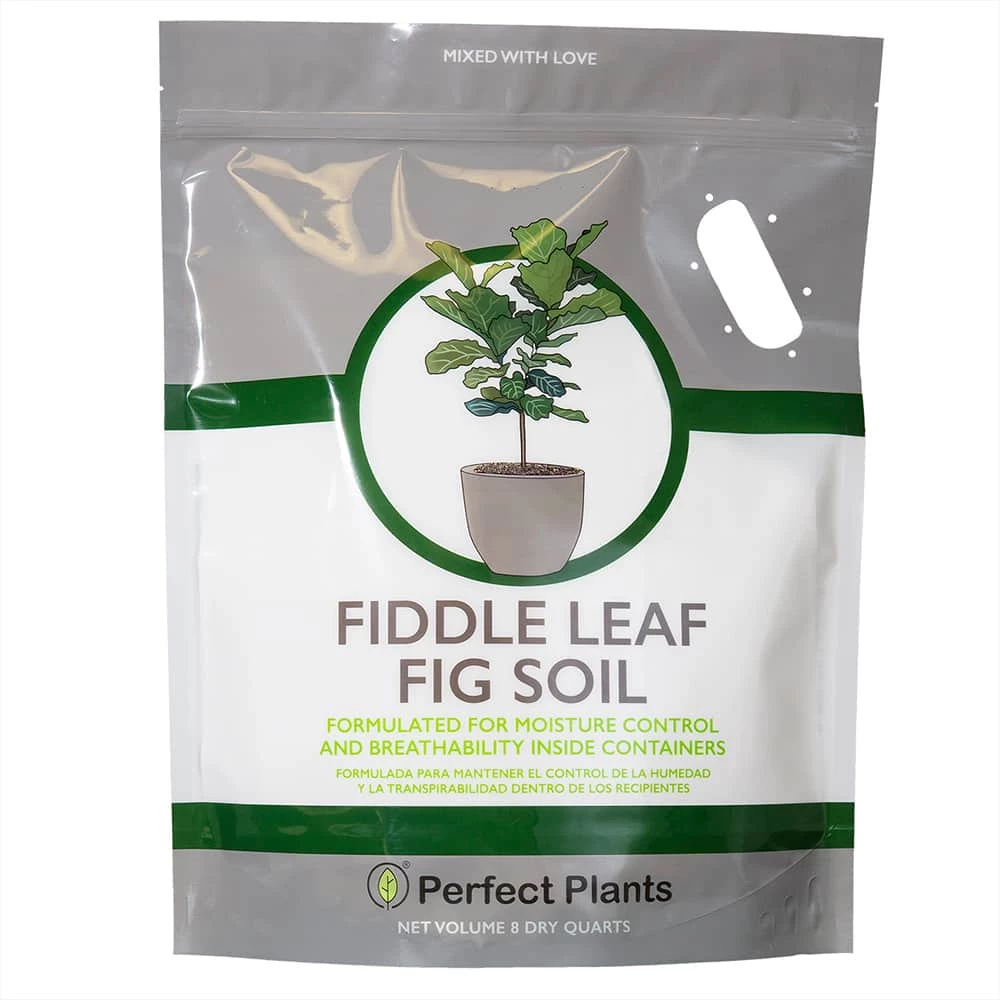 Perfect Plants Fiddle Leaf Fig Soil |View All 1 Perfect Plants Fiddle Leaf Fig Soil |View All