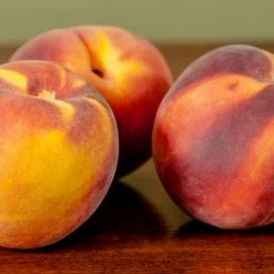 Perfect Plants Peach Trees Gulf Crimson Peach Tree