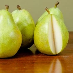 Perfect Plants Hood Pear Tree All Fruit & Nut Trees