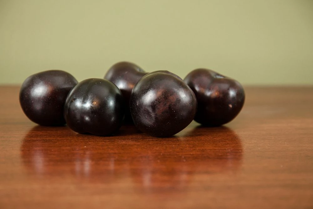 Perfect Plants Methley Plum Tree Plum Trees 5 Perfect Plants Methley Plum Tree Plum Trees