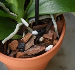 Perfect Plants Organic Orchid Potting Mix |View All