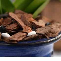 Perfect Plants Organic Orchid Potting Mix |View All