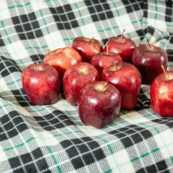 Perfect Plants All Fruit & Nut Trees Red Delicious Apple Tree