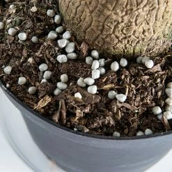 Perfect Plants |View All Root Boosting Slow Release Fertilizer