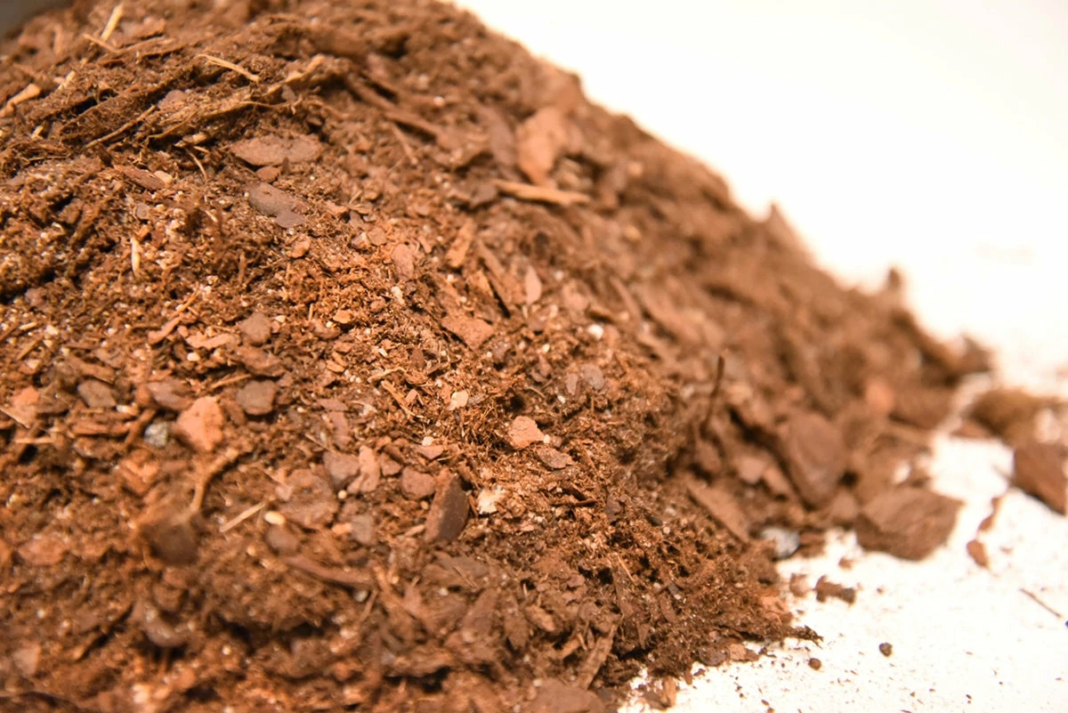 Perfect Plants Bonsai Soil |View All 5 Perfect Plants Bonsai Soil |View All