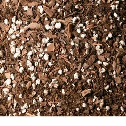 Perfect Plants Succulent & Cactus Soil |View All