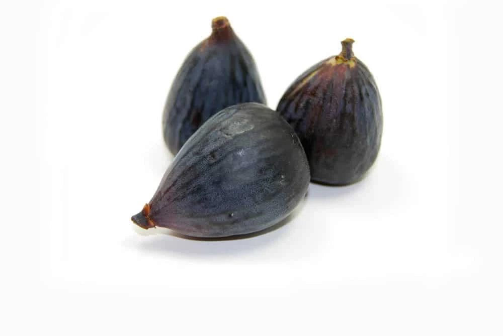 Perfect Plants Black Mission Fig Tree All Fruit & Nut Trees 4 Perfect Plants Black Mission Fig Tree All Fruit & Nut Trees