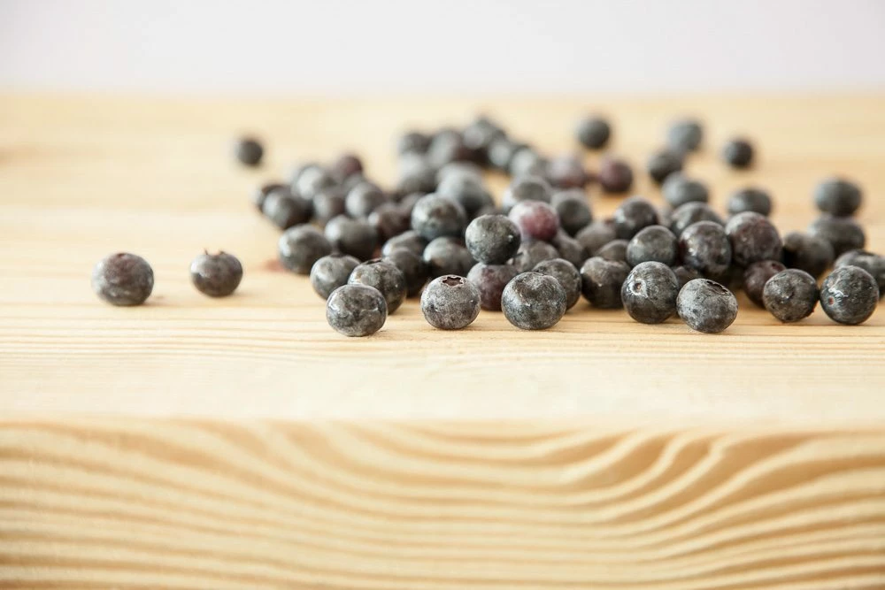 Perfect Plants Climax Blueberry Bush 5 Perfect Plants Climax Blueberry Bush