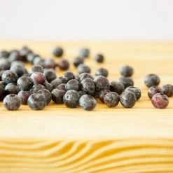 Perfect Plants All Fruit & Nut Trees Premier Blueberry Bush