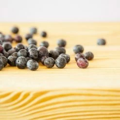 Perfect Plants All Fruit & Nut Trees Tifblue Blueberry Bush 8 Perfect Plants All Fruit & Nut Trees Tifblue Blueberry Bush