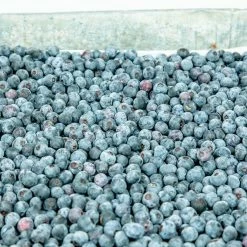 Perfect Plants Climax Blueberry Bush 11 Perfect Plants Climax Blueberry Bush