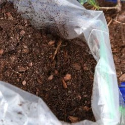 Perfect Plants Bonsai Soil |View All