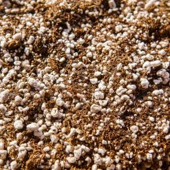 Perfect Plants |View All Organic Carnivorous Plant Soil Mix