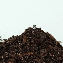 Perfect Plants Fruit Tree Planting Mix |View All