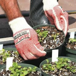 Perfect Plants |View All Gempler’s Work Gloves