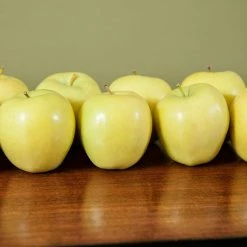 Perfect Plants Golden Delicious Apple Tree All Fruit & Nut Trees 7 Perfect Plants Golden Delicious Apple Tree All Fruit & Nut Trees