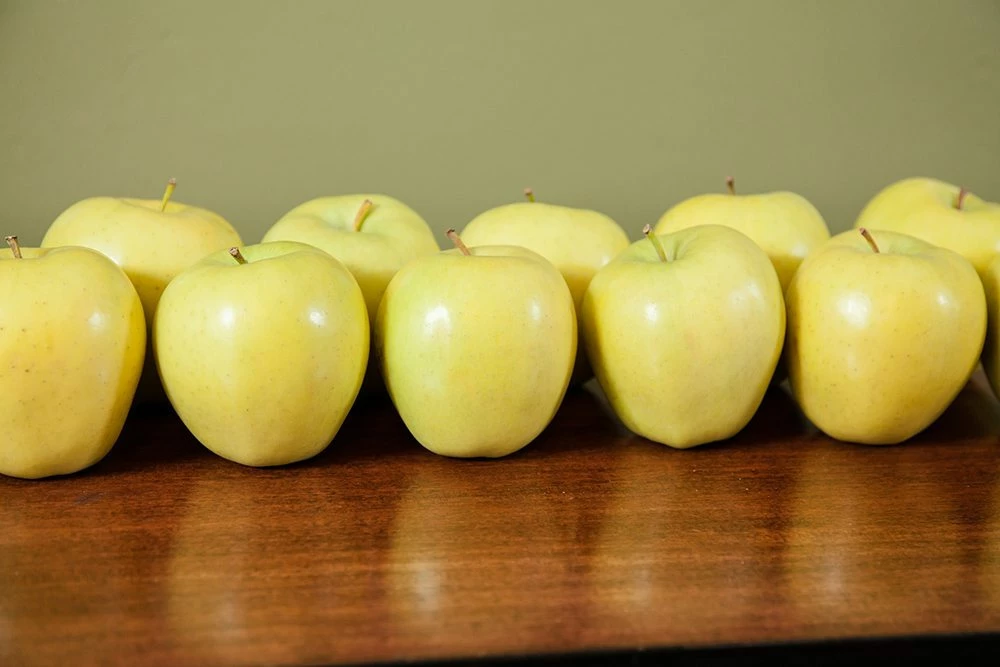 Perfect Plants Golden Delicious Apple Tree All Fruit & Nut Trees 4 Perfect Plants Golden Delicious Apple Tree All Fruit & Nut Trees