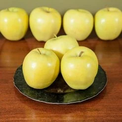 Perfect Plants Golden Delicious Apple Tree All Fruit & Nut Trees 6 Perfect Plants Golden Delicious Apple Tree All Fruit & Nut Trees