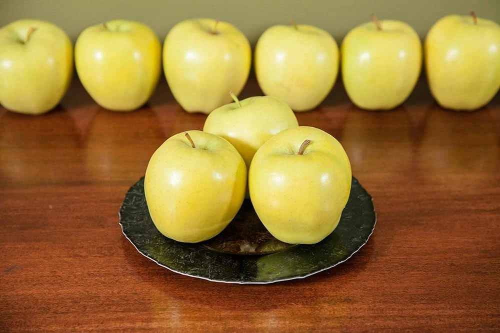 Perfect Plants Golden Delicious Apple Tree All Fruit & Nut Trees 3 Perfect Plants Golden Delicious Apple Tree All Fruit & Nut Trees