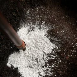 Perfect Plants Organic Perlite For Plants