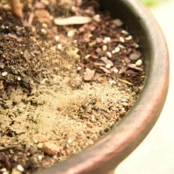 Perfect Plants Organic Plant Food |View All