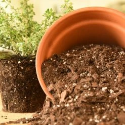 Perfect Plants |View All Organic Potting Mix