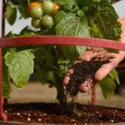 Perfect Plants |View All Organic Worm Castings