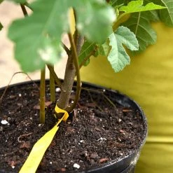 Perfect Plants |View All Organic Worm Castings